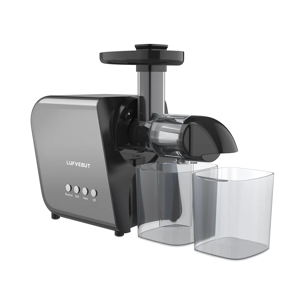 250W Slow Cold Press Fruit Juice Extractor, Anti-jam Reverse, Easy Clean, BPA-Free Quiet Household Vegetable Juicer