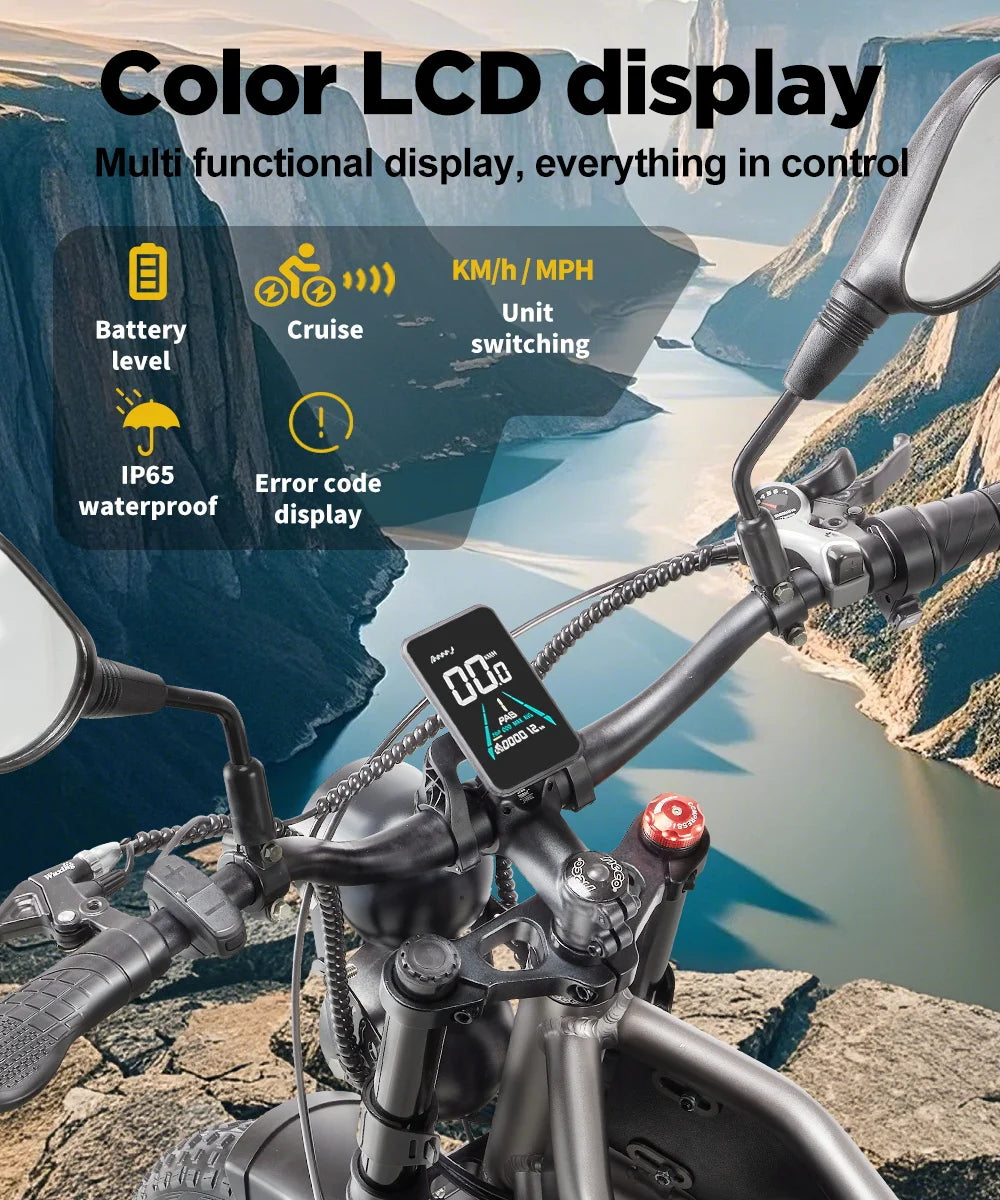 Electric Bike for Adults RANDRIDE DM711, 2000W Motor, 48V 20Ah Removable Lithium Battery, 20*4.0 inch Fat TireFull Suspension Electric Mountain Bike, Mechanical Brake, Long Range Off-Road Beach Snow Bicycle, 40-45KMH Max Spee