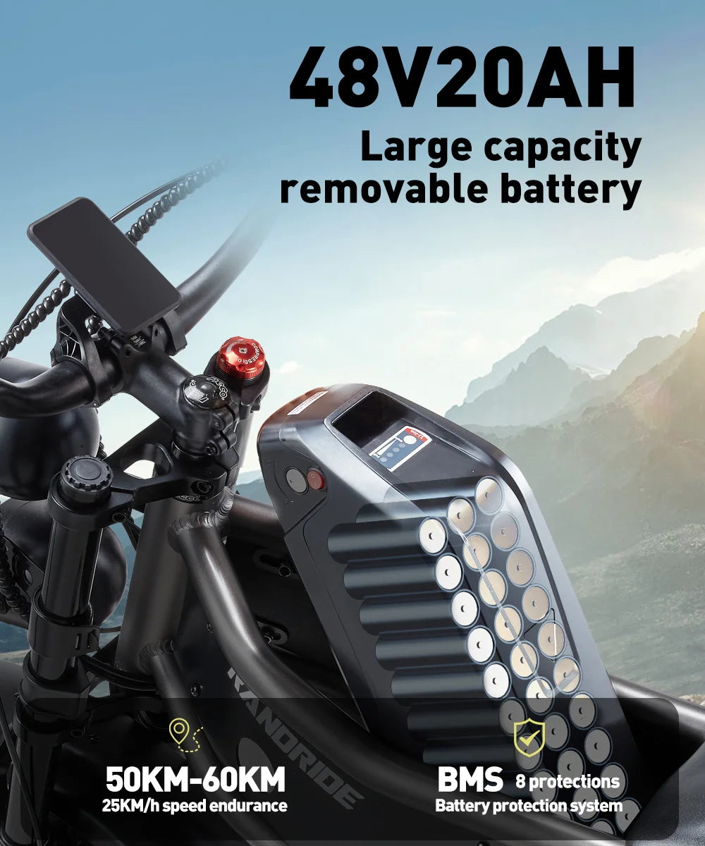 Electric Bike for Adults RANDRIDE DM711, 2000W Motor, 48V 20Ah Removable Lithium Battery, 20*4.0 inch Fat TireFull Suspension Electric Mountain Bike, Mechanical Brake, Long Range Off-Road Beach Snow Bicycle, 40-45KMH Max Spee