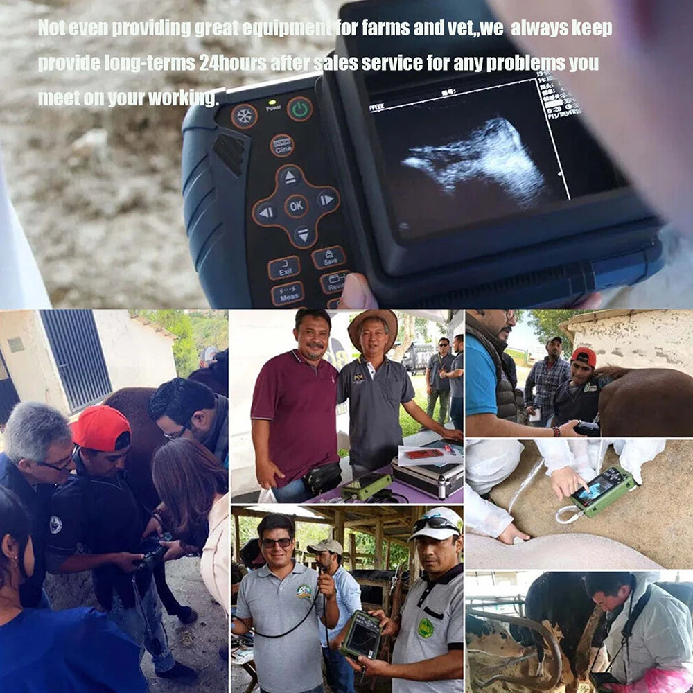 Portable Veterinary Ultrasound Scanner for Pregnancy Vet B Ultra Machine with 3.5MHz Convex Probe for Pig Sheep Dog Animals